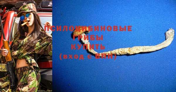 круглые Абаза