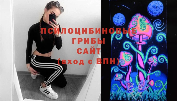 круглые Абаза