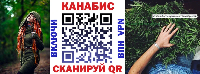 Шишки марихуана сатива  гидра как зайти  Чекалин 